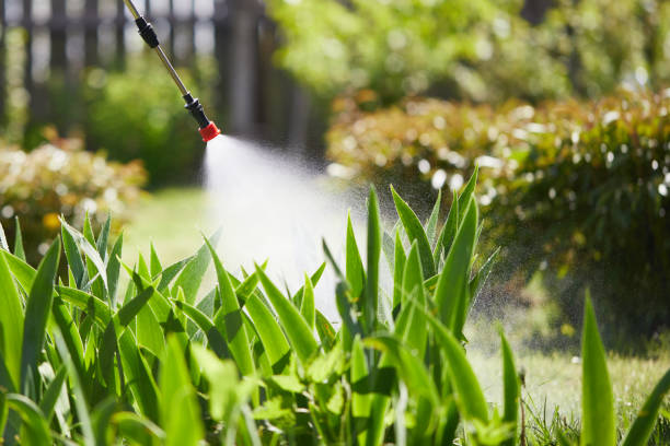 24/7 Emergency Wasp Removal experts in Irvine, KY