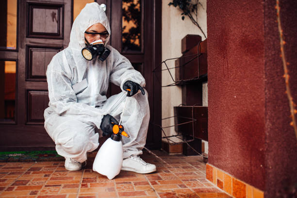 Reliable Wasp Removal contractor in Irvine, KY by Show Me Pest Control
