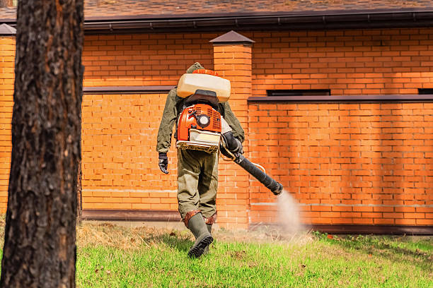 Top rated local Wasp Removal specialists in Irvine, KY